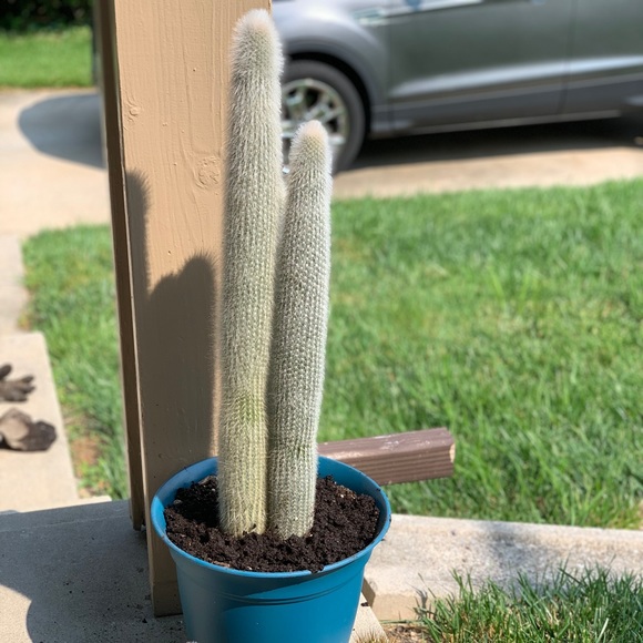 Meet your Posher, Nannaphat - Picture 1 of 1